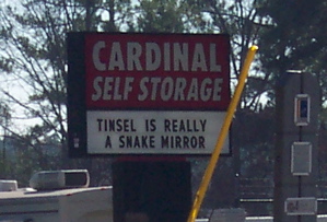 snake_mirror.JPG